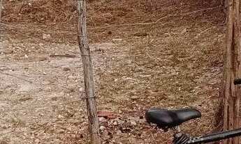 Imagem 3: 86 Casa com 1 dormitório