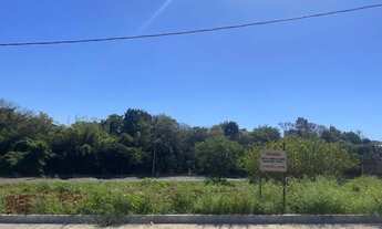 Imagem 6: Excelente Terreno