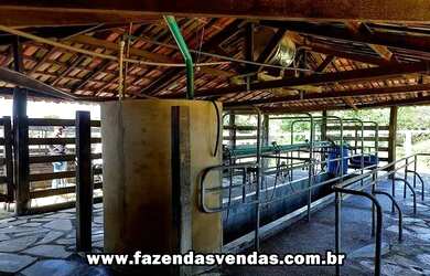 Imagem 7: Fazenda 25,5 alqueires município de Corumbá de Goiás