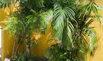 Imagem 4: Casa à venda com 275m² e bem localizada na COHAB Anil 1. 3 quartos, sendo uma suíte; 3 ban