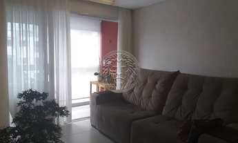 Imagem 6: FLORIANóPOLIS - Padrão - Rio Tavares