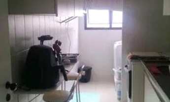 Imagem 4: APARTAMENTO, COM FINO ACABAMENTO NO MELHOR DA VIL SANTA CATARINA!