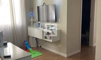 Imagem 6: PINHAIS - Padrão - Weissópolis