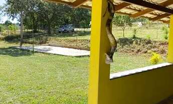 Imagem 2: Sítio em água limpa