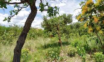 Imagem 6: Lote 1.000 m², plano em condomínio fechado, Jaboticatubas