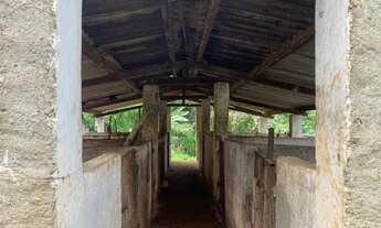 Imagem 6: Sito 20.00m² excelente casa nova, criatório de peixe, arvores frutíferas, Jaboticatubas