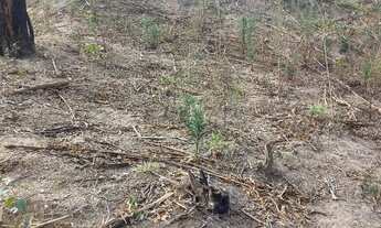Imagem 3: Chacara em areias pedro leopoldo mil metros não tem escritura mas tem contrato ac.carro