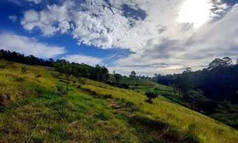 Imagem 5: Bosque dos Ciprestes Loteamento Charmoso em Ibiúna