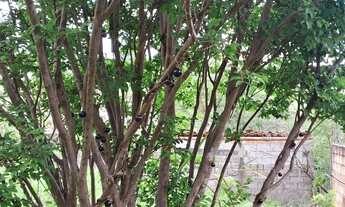 Imagem 6: LOTE EM BETIM Terreno / lote com venda por R$75.000