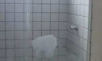 Imagem 7: APARTAMENT PARA VENDA EM CANDELÁRIA CONDOMÍNIO METROPOLIS POR R$305.000,00