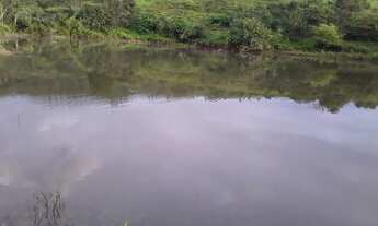 Imagem 4: Fazenda de 250 alqueires cocalzinho-go