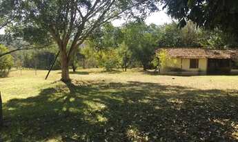 Imagem 3: Chácara em av angelino Benedito saia - Chácaras ABC - São Pedro/SP