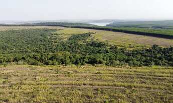 Imagem 4: Fazenda 124 alqueires Regiao de São Pedro SP