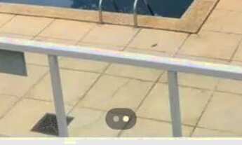 Imagem 5: Apartamento Apartamento com 2 dormitórios