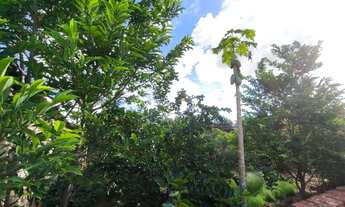 Imagem 6: Casa com 3 quartos à venda, 120 m² por R$ 380.000 - Jóquei Club - Anápolis/GO