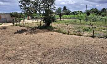 Imagem 4: 02 lotes em São José - Fazenda Ovo da Ema