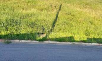Imagem 5: Terreno em Condomínio para Venda em Itapevi, Nova Itapevi