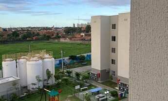 Imagem 3: Reserva Arvoredo