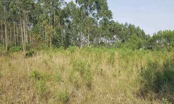 Imagem 6: Área Rural 7,72 Alqueires - 3 Barras de Cima!