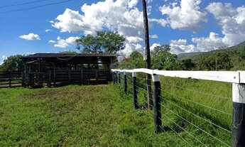 Imagem 4: Área para plantio de soja;grãos.Criação de gado bovino. 900 hectares.Agricultura e PECUÁRI