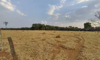 Imagem 6: Chácara para venda, com 55.875m² próximo ao Campus da UFG - Goiânia - GO