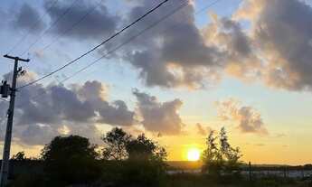 Imagem: Trevo do Francês