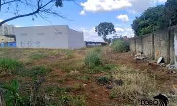 Imagem 2: Lote 450,00m² Bairro Ipiranga