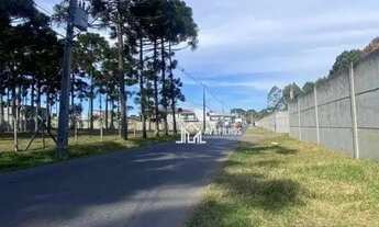 Imagem 3: Terreno à venda, 261 m² por R$ 186.500,00 - Guarituba - Piraquara/PR