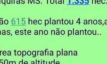 Imagem 6: Fazenda de arrendamento