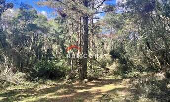 Imagem 7: Lote em Avenida Mata Atlântica - Alpes - São Francisco de Paula/RS