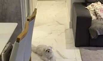 Imagem 6: RR9003 Apartamento 107m² CONDOMÍNIO ALPHA PARK - OPORTUNIDADE - 3 Dorms 2 Vagas - Barueri