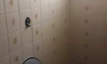 Imagem 5: Alugo casa vila mimosa