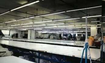 Imagem 6: Galpão em Rua Doutor Virgílio do Nascimento - Brás - São Paulo/SP