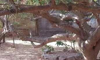 Imagem 5: Terreno de 730m² à venda em Jardim Palmeiras Montes Claros -MG