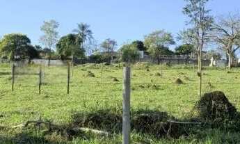 Imagem 3: Oportunidade Terreno de 982 m2 próximo Hotel Mazzaropi