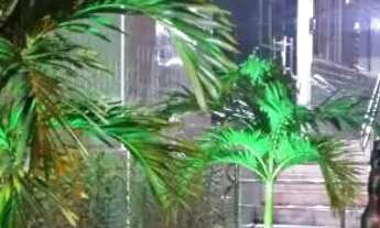 Imagem 2: Vendo Apartamento no Rosarinho - fone 81-