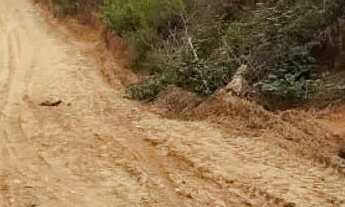 Imagem 3: Imóvel para venda tem 6393 metros quadrados em Gamboa - Cairu - BA