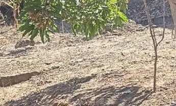 Imagem 2: Lote 360 m² em Esmeraldas