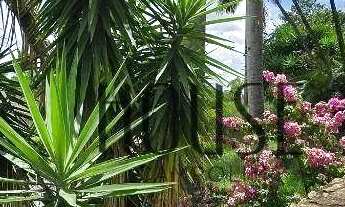 Imagem 3: Casa com 4 quartos à venda, 450 m² - Condomínio Bosque São Bento - Sorocaba/SP