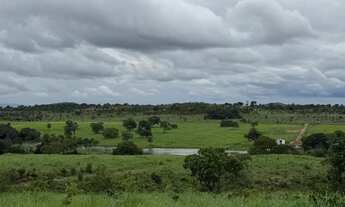 Imagem 3: Vendo ou alugo fazenda 52 alqueires