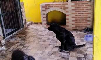 Imagem 3: Casa com valor abaixo do mercado área gourmet e quintal grande a apenas 5 minutos do Centr