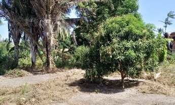 Imagem 2: Terreno no paço do lumiar
