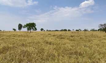 Imagem 5: Chácara de meio alqueire em bela vista com córrego no fundo!