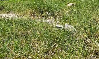 Imagem 4: Terreno à venda em Campinas, Loteamento Residencial Arborais, com 654.54 m²