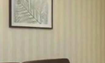 Imagem 2: Casa em Rua Álvaro Rodrigues - Cidade Nova - São Paulo/SP