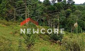 Imagem 5: Lote em Est Rincão dos Kroeff - Rincão do kroeff - São Francisco de Paula/RS