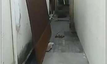 Imagem 7: Casa à venda no ILHA DE CAPRI , PLANALTO, Natal, RN