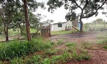 Imagem 3: Oportunidade imperdível