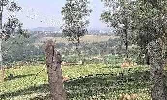 Imagem 4: Sítio em Estrada Municipal Domingos Stoco - Bairro do Morro - Itatiba/SP