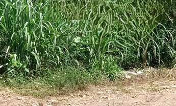 Imagem: Oportunidade -Terreno Centro Empresarial